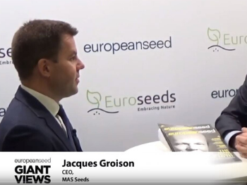 Giant Views Video Interview of Jacques Groison
